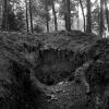 img014 copie copie