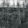 img017 bis