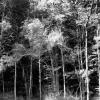 img022 copie