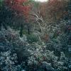 SOD006_img10