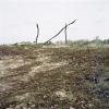 SOD006_img13